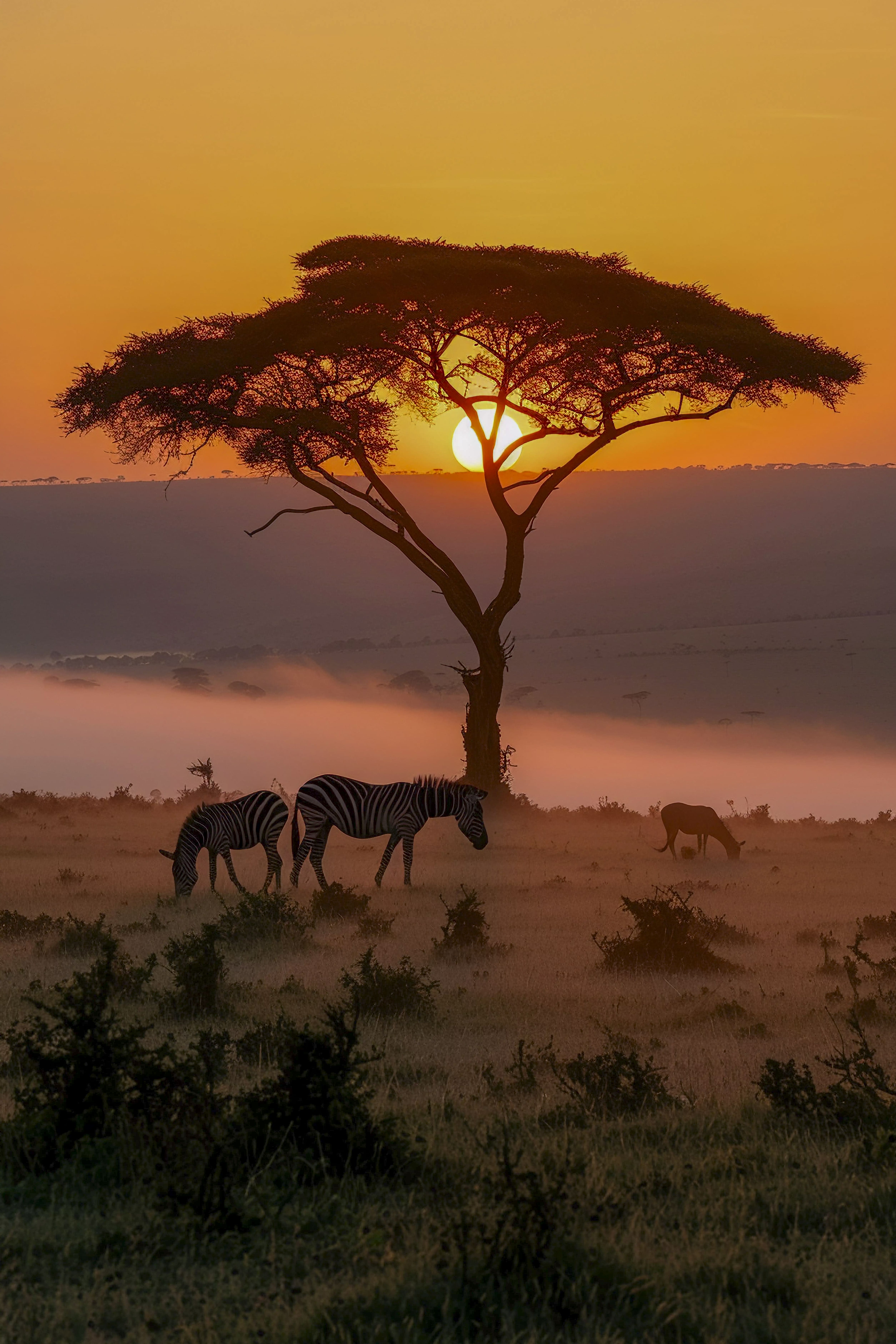 Codenest Tanzania team at work